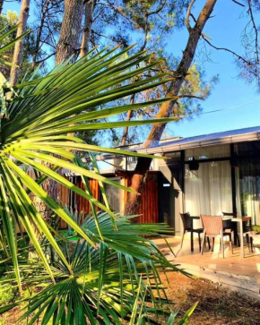 Shekvetili Inn - A place where you can relax and spend an unforgettable time